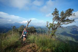 BIB: 
                            <button type="button" onclick="openModal(22429939)" class="btn btn-primary btn-sm float-right btn-popup" data-toggle="modal" data-target=".modal-high-quality">
                        <i class="fas fa-shopping-cart"></i> Add to Cart
                    </button>
                                            <button type="button" onclick="isThisMe(22429939, true)" class="btn btn-success btn-sm float-right btn-popup btn-isme hidden" data-toggle="tooltip" data-placement="bottom" title="นี่คือรูปของคุณใช่ไหม คลิกที่นี่เพื่อเอาเข้าอัลบั้ม">
                        <i class="fas fa-plus"></i> Add to album
                    </button>
                    <button type="button" onclick="isThisMe(22429939, false)" class="btn btn-warning btn-sm float-right btn-popup btn-isnotme hidden">
                        <i class="fas fa-ban"></i> Remove from album
                    </button>